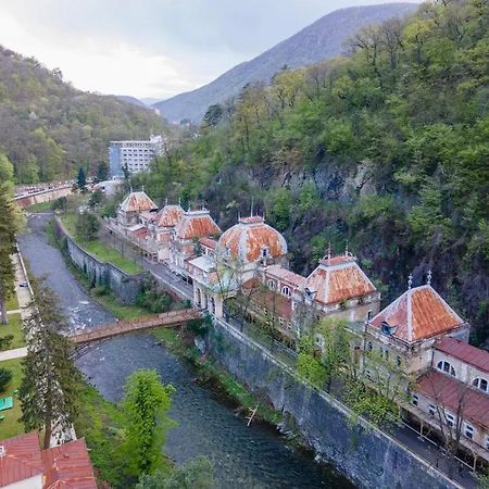 Apartament Nectaria Băile Herculane Zewnętrze zdjęcie