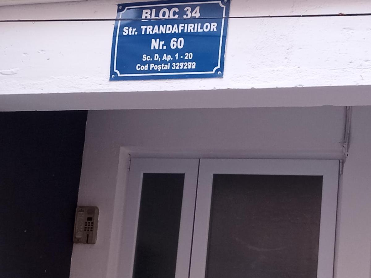 Apartament Nectaria Băile Herculane Zewnętrze zdjęcie